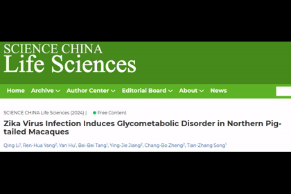 宋天章、鄭昌博團隊在SCLS期刊發文發現ZIKV感染引起糖代謝紊亂是其致病的重要機制