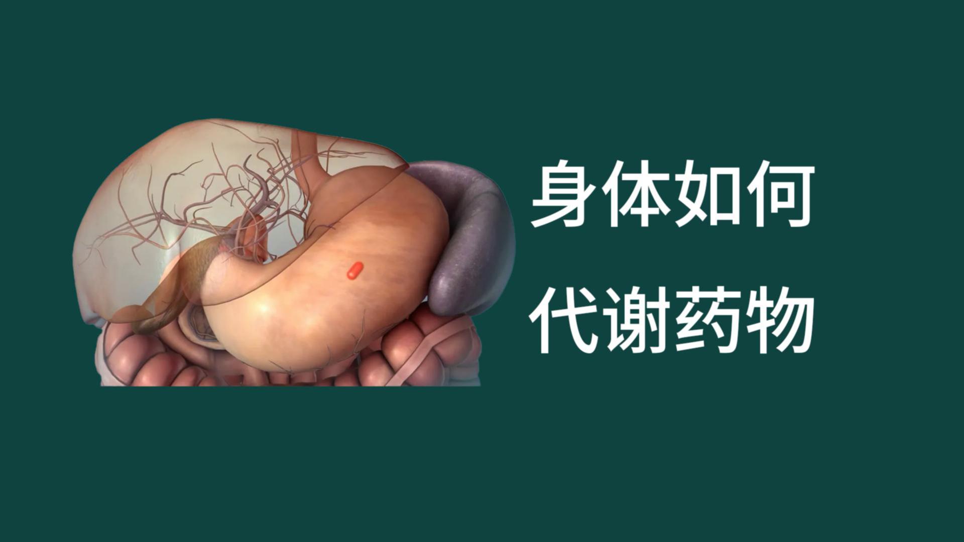藥物代謝
